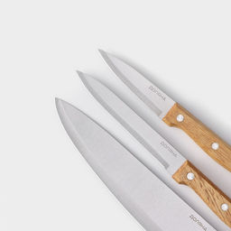 Набор кухонных ножей Доляна Wood, набор 3 шт., лезвие: 8 см, 12 см, 19.5 см, ручка деревянная