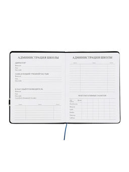 Дневник школьный 1-11 класс, лассе, обложка искуственная кожа серая, с хлястиком, с ручкой   1096906