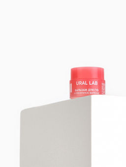 Цена за 5 шт. Бальзам для губ, 3 г, аромат клубничного варенья, URAL LAB  фото 22