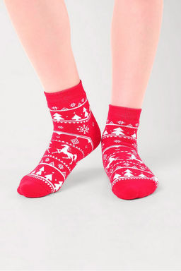 (CLE) C4550П носки дет. НГ плюш (ЧЗ)