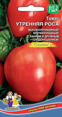 Томат УТРЕННЯЯ РОСА Высокоурожайный! Крупноплодный! С ранним и дружным плодоношением!