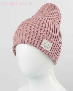 43825 Колпак (56-58)