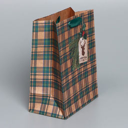 Цена за 2 шт. Пакет подарочный новогодний крафтовый «For man», MS 18×23×10 см