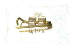 Значок SEPLU SAIЕSANA ( деревянная изба  Музей республика Литва)