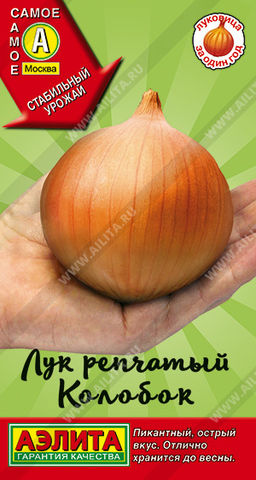 Лук репчатый Колобок