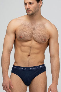 Мужские трусы R-14T Blue-Melange