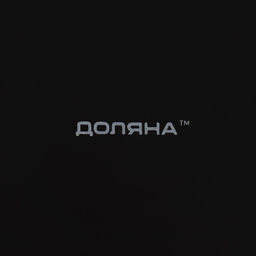 Тарелка Доляна Ваниль, d=27 см, керамика, чёрная  фото 5