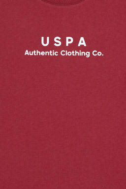Erkek _ocuk Vi_ne Basic Ti__rt Sepette S_rpriz _ndirim - U.s. polo assn фото 3
