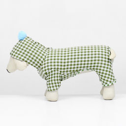 Комбинезон Пудра, размер 2XL (ДС 41 см, ОШ 45 см, ОГ 60 см) бежевый/зелёный - Simaland фото 5