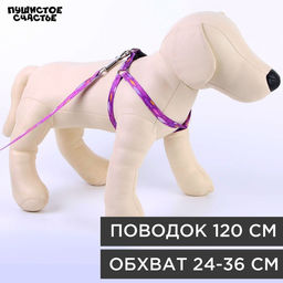 Комплект Рыбки, шлейка 24-36 см, поводок 120х1 см