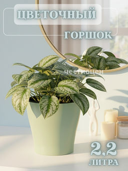 Цена за 2 шт. Горшок цв. "Лея" 2,2л двойной (с автополивом) (св.зеленый) М8267