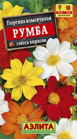 Георгина Румба, смесь сортов