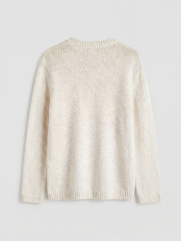 Regular Fit Bisiklet Yaka Kad?n Triko Kazak