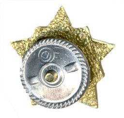 Значок Воин-спортсмен II ступень