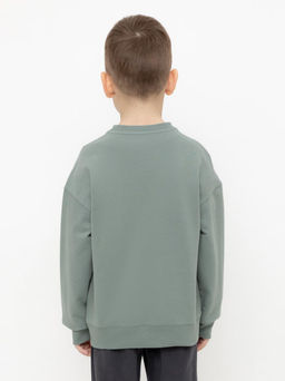 КР 302392/полынь джемпер (свитшот) для мал