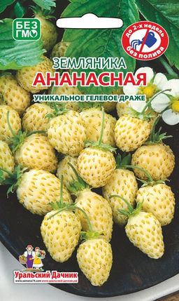 Земляника АНАНАСНАЯ ДРАЖЕ Можно выращивать в комнате! Ремонтантная! Ягоды сладкие, с ананасовым вкусом и ароматом, тают во рту!