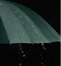 Зонт Umbr-L-605-Green