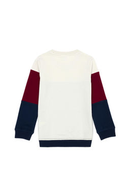 U. S. Polo Assn / Детский темно-синий свитшот с круглым вырезом - U.s. polo assn фото 2