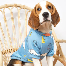 Кофта - толстовка для мелких пород собак "BRO Style", принт динозаврики, р XL