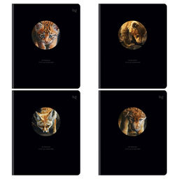 Тетрадь 48л. BG "Кто ты внутри?" клетка (Т5ск48 57628) вырубка