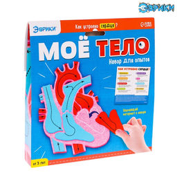 Набор для опытов Моё тело, сердце - Эврики фото 2