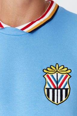 Синяя мужская рубашка стандартного кроя с воротником и аппликацией, семейная комбинация, мягкая пушистая толстовка TMNAW23SW00160