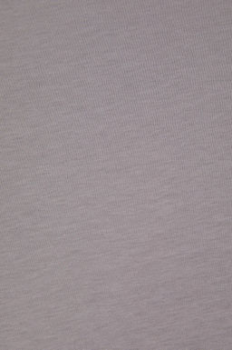 Erkek Regular Fit Bisiklet Yaka Gri Ti__rt