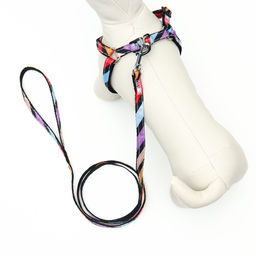 Комплект амуниции двухслойный, размер S, поводок 120 х 1 см, ОШ 24-38 см, ОГ 29-41 см, разноцветный - Пижон фото 3