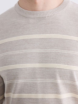 Bisiklet Yaka ?izgili Erkek Triko Kazak