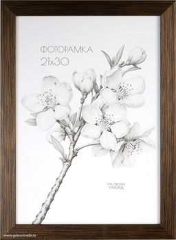 Фоторамка 21х30 / ZR208A-176 /уп10 - Галеонтрейд фото 2