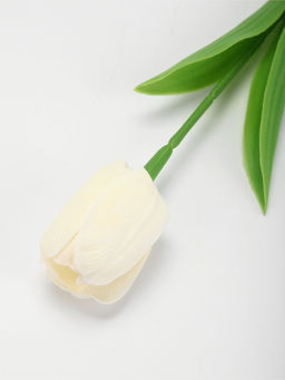 Мыльный белый тюльпан в коробке - SB BEAUTY фото 3