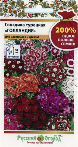 Гвоздика турецкая Голландия (смесь) 0,5г (НК)
