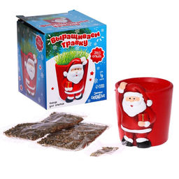 Набор для опытов Выращиваем травку: Дед Мороз - Эврики фото 2