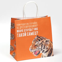 Цена за 2 шт. Пакет подарочный, упаковка, Самец, 22?22?11 см