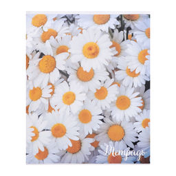 Набор тетрадей, 96 листов в клетку Calligrata "Цветы-1", серые листы, 4 штуки