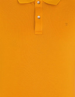 Safran Slim Fit Polo Yaka Merserize Ti__rt - Pierre cardin фото 6