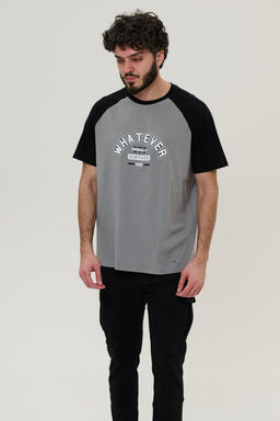 футболка мужская 2878-23 Новинка - Mix-mode фото 2