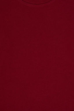 Erkek _ocuk Bordo Basic Sweatshirt Sepette S_rpriz _ndirim - U.s. polo assn фото 8