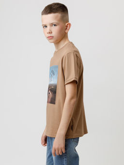 КР 302840/коричневый 1038 к586 фуфайка (футболка) для мал