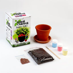 Набор для опытов «Юный садовод: Вырасти редис»