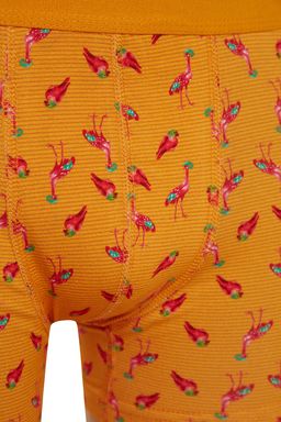 TRENDYOL MAN Cok Renkli 3lu Tropikal Desenli-Duz Paket Pamuklu Boxer TMNSS23BX00009 - Trendyolmilla фото 6