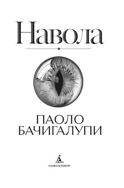 Навола. Бачигалупи П. - Азбука фото 3