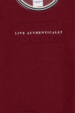 Толстовка вишнёвого цвета для мальчика Неожиданная скидка в корзине - U.s. polo assn фото 4