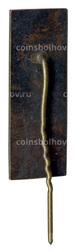 Значок Пирчюпис
