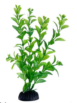 Растение Алиса 804S (4*20см)