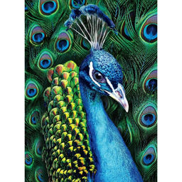 Алмазная мозаика с полным заполнением на холсте «Павлин», 15×21 см
