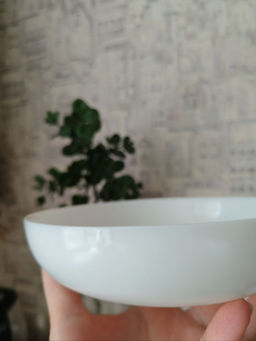 Тарелка для подачи ФРЕНДС ТАЙМ 17см арт.P6280 (LUMINARC)  фото 4