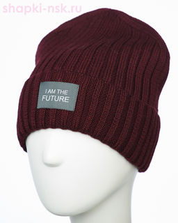 117/FL SHM Колпак мужской флис (58-60)