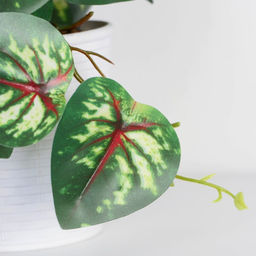 Искусственный цветок в горшке Сингониум ред, 9?17 см