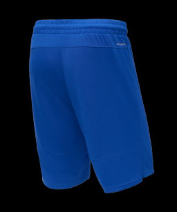 Шорты баскетбольные JOGEL PerformDry Division Star, синий